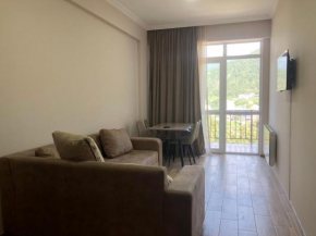 Borjomi-Likani Premium Apartments